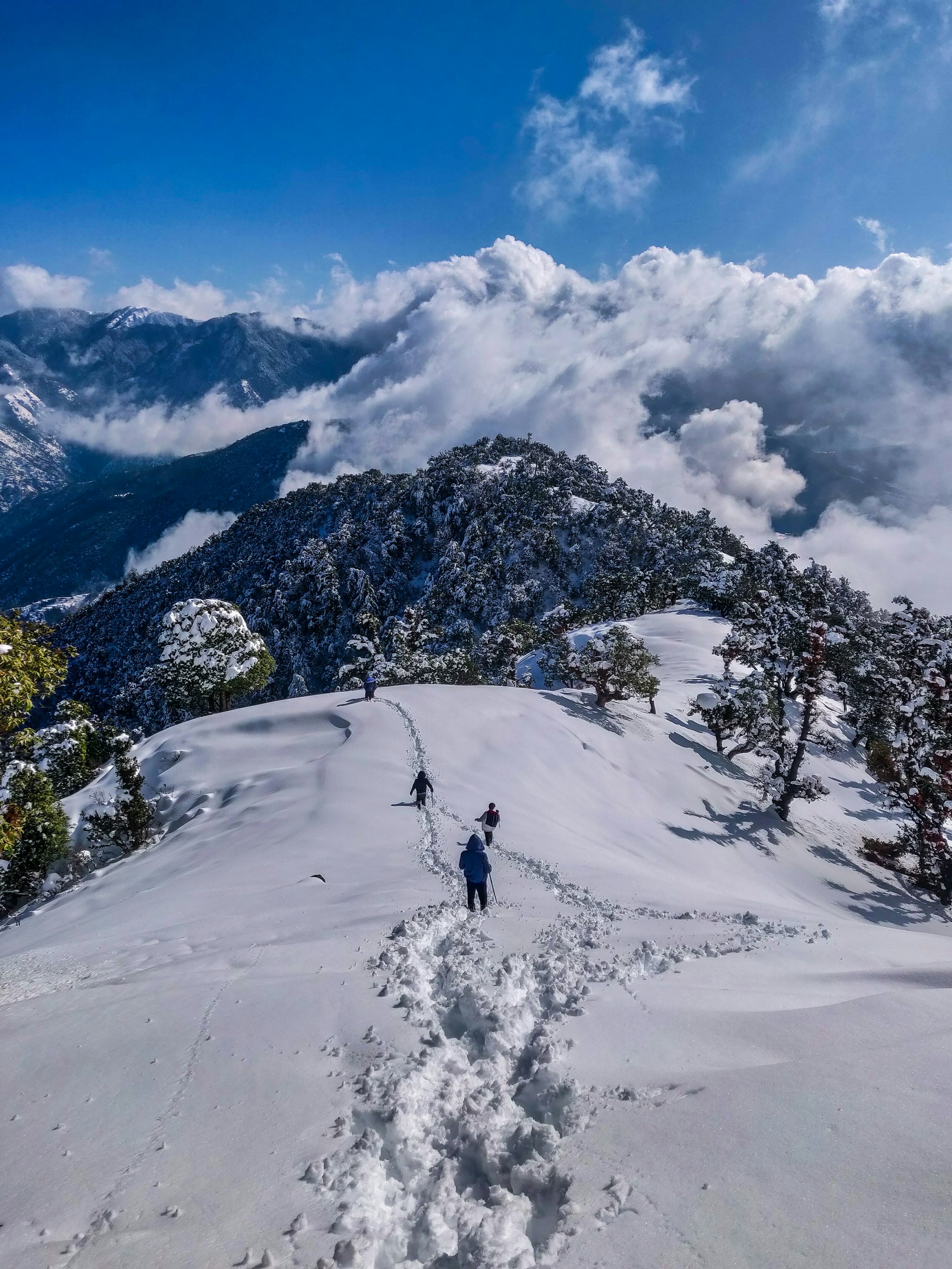 Delhi to Mussoorie Taxi: The Queen of Hills Awaits