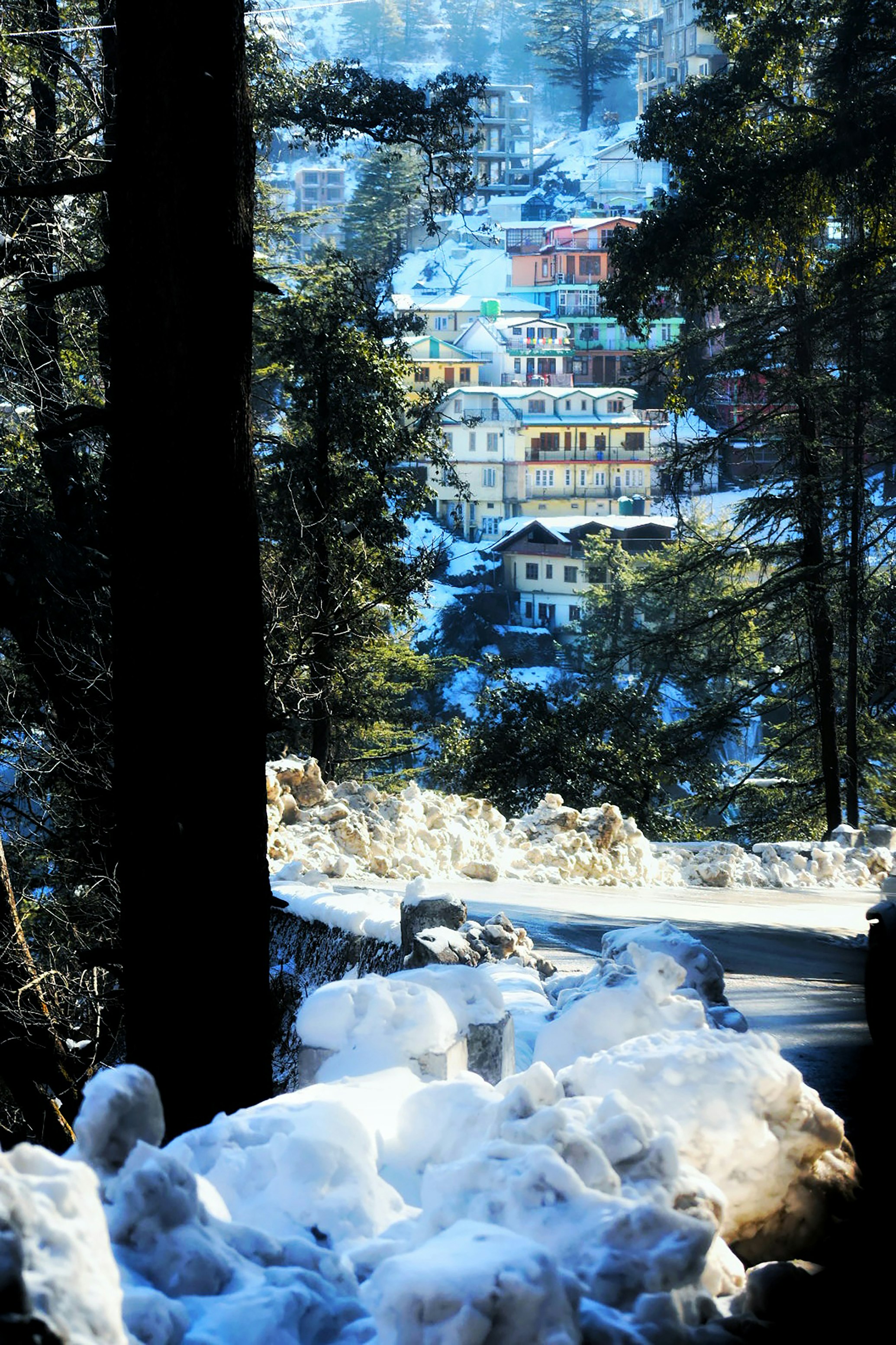 Delhi to Shimla